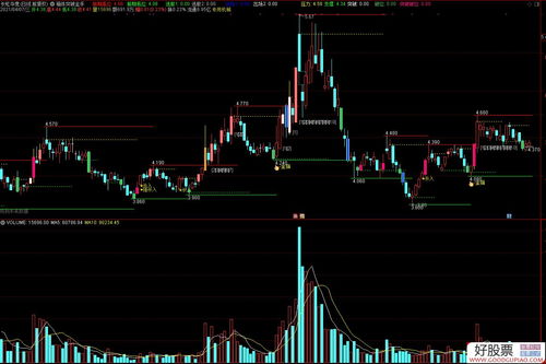 XG=1 选股公式