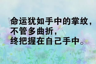 执著的名言  鼓励坚持不放弃的名言？