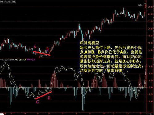 股市下一轮的趋势会怎么样