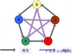 春季养生大讲究 专属五行的食疗法