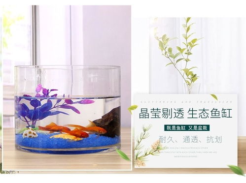 金鱼缸玻璃水族箱小型创意生态圆形圆柱大号乌龟缸造景培装饰