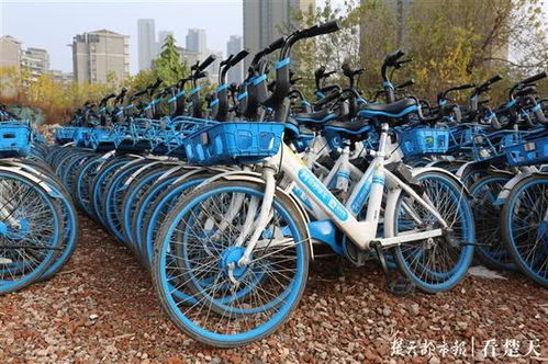 武昌城管助力单车 过冬 ,帮企业大大节约了运维成本