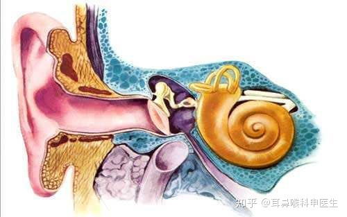 耳朵嗡嗡响怎么回事 这5个原因,让耳鸣的年轻人越来越多 