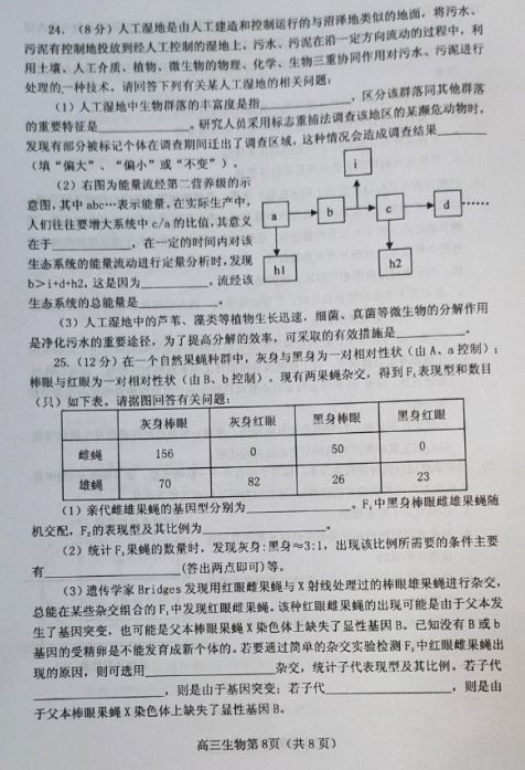 2019 2020山东省莱州一中高三生物上学期期末试卷 图片版 8 