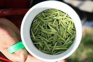 如何辨别与购买绿茶