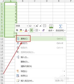 wps表格 快速进行行列复制转换