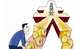 融资租赁公司可以入股其他企业吗