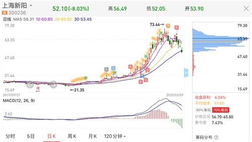 现在的股市企稳了吗，什么时候才算真正企稳