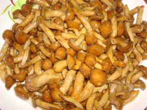 白菜炒油蘑菇的做法