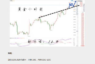 赵依诺 12.5 弱势延续,短期任就偏空 