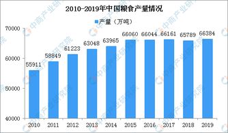 2019年中国粮食种植面积和产量数据分析及2020年预测