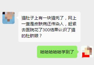 花300块认识了猫的肚脐眼,这个冷知识有点儿贵啊