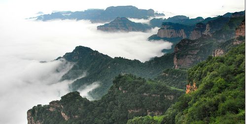 武当山门票,武当山门票预订,武当山门票价格,去哪儿网门票 