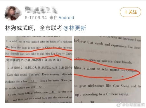 组图 林更新出现在新乡联考试卷 粉丝调侃 林狗 实火 