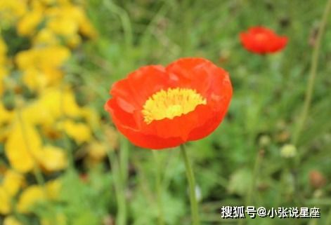 三生肖来接福,9月桃花旺,横财发,贵子来,喜事接二连三 篇文章 