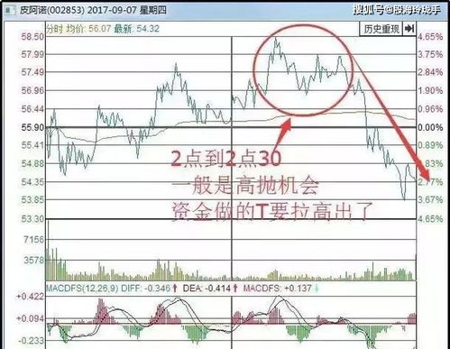 您好，请问最高价申报买入股票在哪时段申报好？9：15，9：25还是9：30？