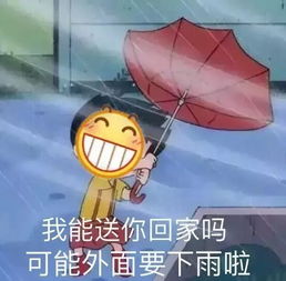 雨雨雨 未来几天,丹江口开启多雨模式,最高温是......