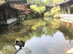 杭州西湖一日游自由行 