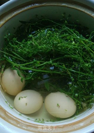 地菜煮鸡蛋的功效与作用 地菜煮鸡蛋的功效