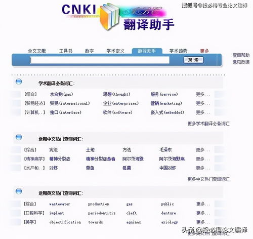 cnki翻译助手 CNKI翻译助手 中英文科技翻译的好帮手 PDF版 极光下载站 