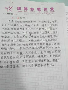 炎热的夏天300字作文三年级