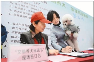 社会呼吁文明养犬