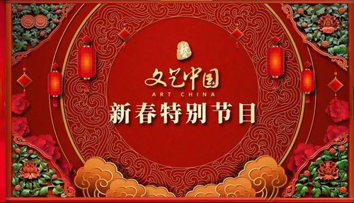 网络中国节 塔德奥大学孔子学院成功举办 欢乐春节 新春文化周活动