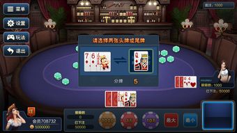 小棋游戏(求一个国际象棋小游戏)