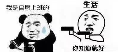 搞不懂朋友圈为什么刷屏 打工人