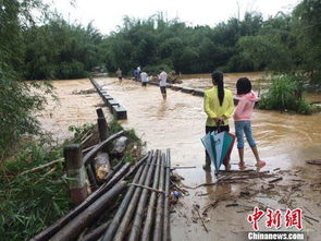 暴雨、特大暴雨的雨量是多少？