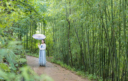 亲人旅游唯美句子