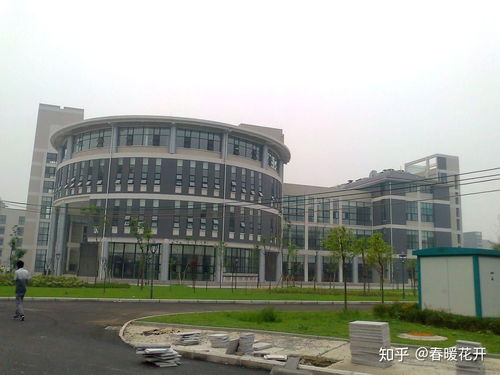 麻醉学专业的就业前景,医学麻醉学就业前景(图2)