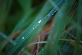 雨 坟 诗辞歌赋 冠华居 