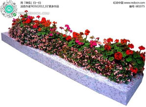 种满小花长方形花坛PSD素材免费下载 红动网 