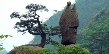 黄山风景区游记 