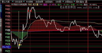 炒股T+0技巧有哪些呢？介绍下。