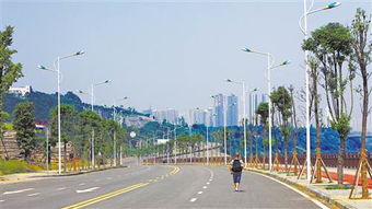 大渡口大滨路夜市好停车吗(重庆大渡口酒水免费停车场)