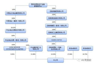 中集集团的战略是基于怎样的战略分析作出的