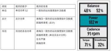 骑月网课题查重率详解