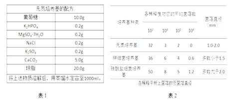 微生物分离和培养正确方法步骤是 