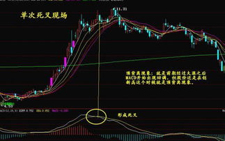 macd和dmi哪个好、做股票波段操作.哪个指标更帖近实际