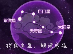 明灯风水命理 紫微神数算命,星盘基本结构以及算命流程 