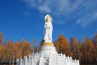 漠河 林海观音 旅游景区