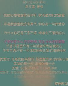 谁知道江苏 非诚勿扰 节目中两人配对成功 那背景放的音乐叫什么名字 谁知道 