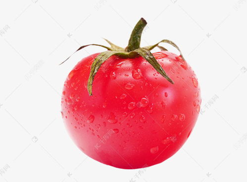 红色蔬菜西红柿素材图片免费下载 千库网 