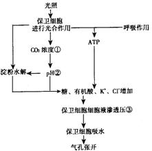 5.下列关于生物工程中酶的作用的叙述.错误的是 A.纤维素酶可用于植物体细胞杂交 B.胰蛋白酶可用于动物细胞培养 C.限制酶只用于提取目的基因 D.DNA连接酶只用于 