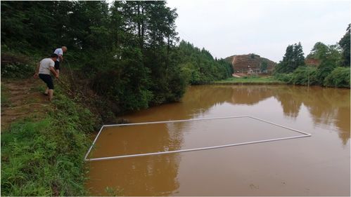 小伙花160买8根水管,围成长方形,鱼塘做喂食区域最好的材料 