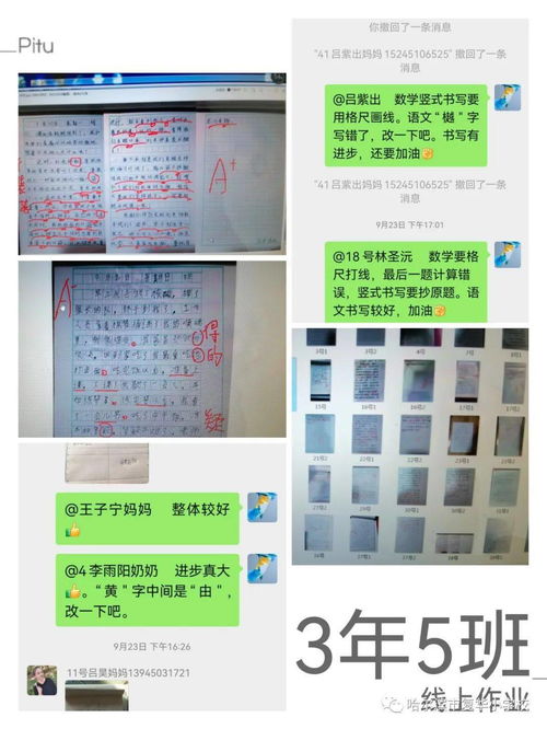 减负不减质 线上作业显实效