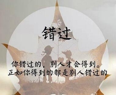 柴静《看见》名言—真实自有万钧之力是什么意思？