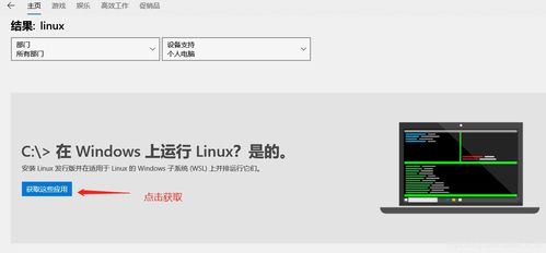 linux版本系统怎么安装win10